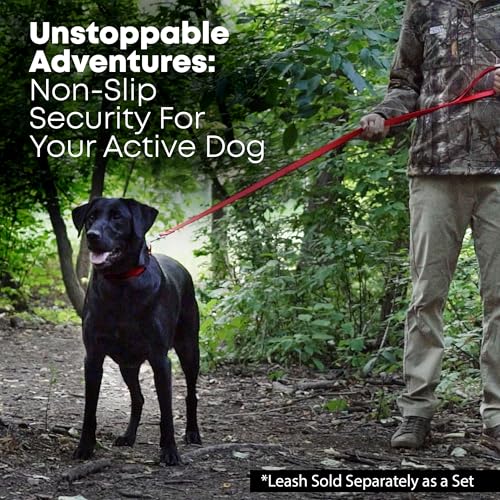 Regal Dog Products Medium Red Dog Collar with Heavy Duty Double Buckle & D Ring | Vinyl Coated, Custom Fit, Adjustable Biothane Dog Collar | Chew Resistant Waterproof Center-Ring Collar for Dogs - color: Red, size: Medium