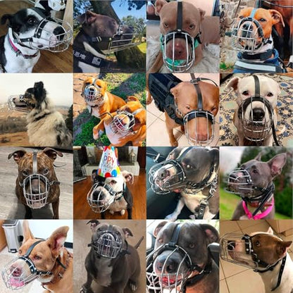 BRONZEDOG Pitbull Dog Muzzle Breathable Metal Basket for Large Dogs Amstaff Staffordshire Terrier Biting Chewing Barking (Leather, Gray) - color: Leather, Gray