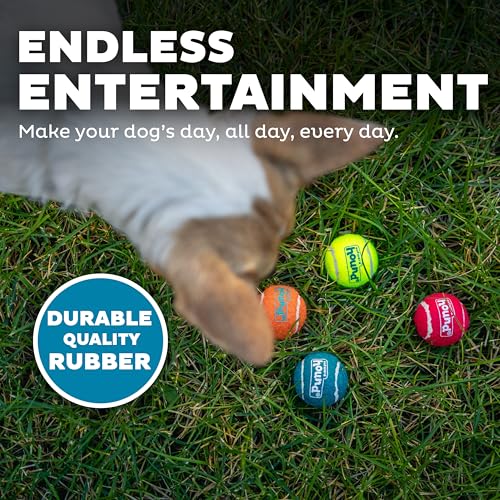 Outward Hound Squeaker Ballz – Squeaky Tiny Tennis Balls for Small Dogs Under 15 lbs, Fetch & Training, X-Small (1.5"), 8-Pack - color: Multi Squeaker Balls, size: X-Small, style: 8-Pack
