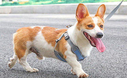 Medium Dog Harness and Leash Set,No Pull Adjustable Step in Soft Mesh Vest Harness,Easy Walk Reflective Pet Harness with Padded Handle for Walking Training Small Medium Large Dogs and Cats (Blue, M) - color: Blue, size: M