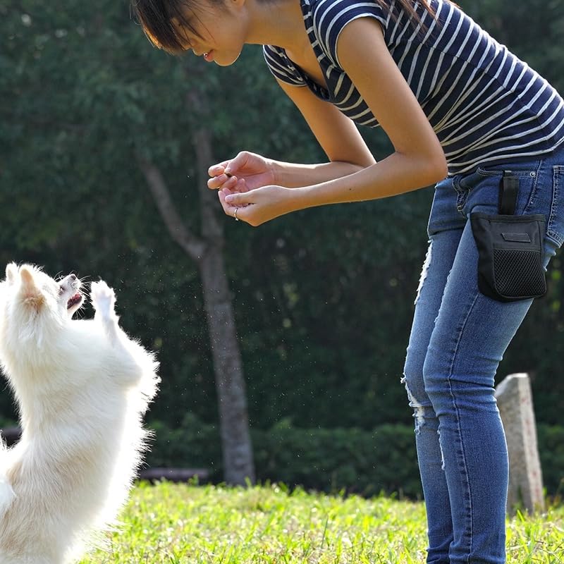 Dog Training Treat Pouch Small Portable Dog Treat Pouch Bag with Clip Pet Bait Snack Reward Puppy Training Container Food Treat Feeding Holder Mini Dog Treat Tote Waist Bag for Pet Training Walking - color: Black