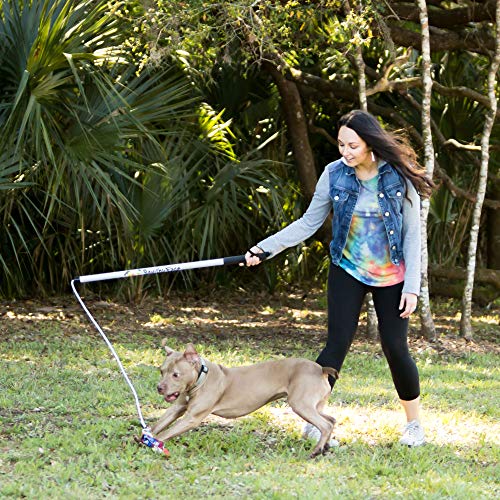 Squishy Face Studio Flirt Pole V2, Purple/Blue Tie Dye, Regular 36" | With Lure, Durable Dog Toy, Fun Obedience Training & Exercise, All Breed Sizes - color: Purple/Blue Tie Dye, size: Regular (36 in), style: Squeaker