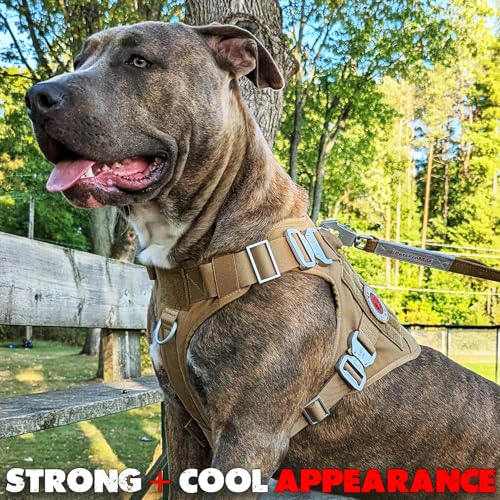 Pets ProMax Tactical Dog Harness – Military-Grade, All-Metal Buckles, No Plastic, Waterproof Vest with Control Handle – No-Pull, No-Choke Design for Small Dogs (Red, S) - color: Red, size: Small (S)