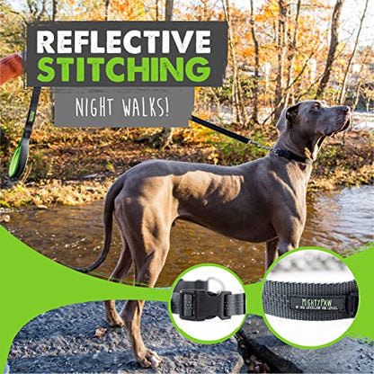 Mighty Paw Martingale Dog Collar 2.0 | Trainer Approved Limited Slip Collar with Stainless Steel Chain & Heavy Duty Buckle - Modified Cinch Collar for Gentle & Effective Pet Training - Medium, Grey - color: Grey, size: Medium