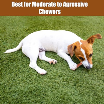 SPOT Bam-Bones Plus Branch -Bamboo Fiber & Nylon, Durable Long Lasting Dog Chew for Aggressive Chewers – Great Toy for Adult Dogs & Teething Puppies Under 60lbs, Non-Splintering, 5.75in, Beef Flavor - size: 5.75 inch (Pack of 1)