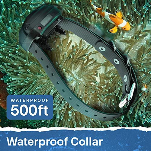 Educator ET-300 Mini E Collar for Dog Training with Remote - 1/2 Mile Range, Waterproof, 100 Blunt Stimulation Levels, Tone or Vibration Mode, Night Light Tracking for Small, Medium & Large Dogs - size: 1-Dog (ET-300)