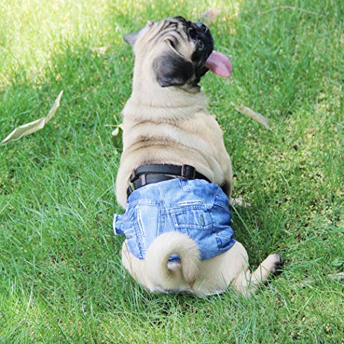 Wegreeco Jeans Washable Male Dog Diapers (Pack of 3) - Washable Male Dog Belly Wrap (X-Small) - color: Blue Jeans, size: X-Small (Pack of 3)