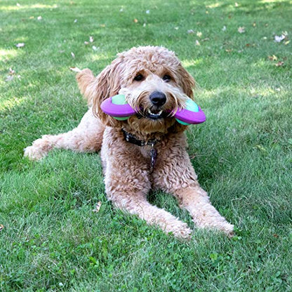 Chew King Premium Treat Dog Toy, Durable Natural Rubber Collection, Fetch and Tug Dog Toy, Dog Treat Toys for Boredum - color: Throw Stick with 2 Balls