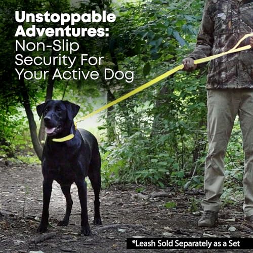 Regal Dog Products Large Yellow Dog Collar with Heavy Duty Double Buckle & D Ring | Vinyl Coated, Custom Fit, Adjustable Biothane Dog Collar | Chew Resistant Waterproof Center-Ring Collar for Dogs - color: Yellow, size: Large