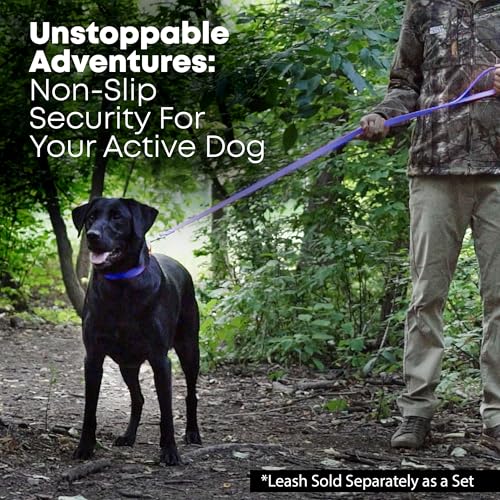 Regal Dog Products Small Blue Dog Collar with Heavy Duty Double Buckle & D Ring | Vinyl Coated, Custom Fit, Adjustable Biothane Dog Collar | Chew Resistant Waterproof Center-Ring Collar for Dogs - color: Blue, size: Small