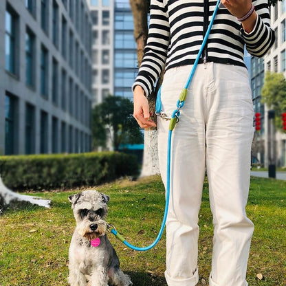 Hands Free Dog Leash Crossbody Dog Running Leash Handsfree Pet Rope for Hiking Training Heavy Duty Reflective Pet Walking Belt (Blue) - color: Blue