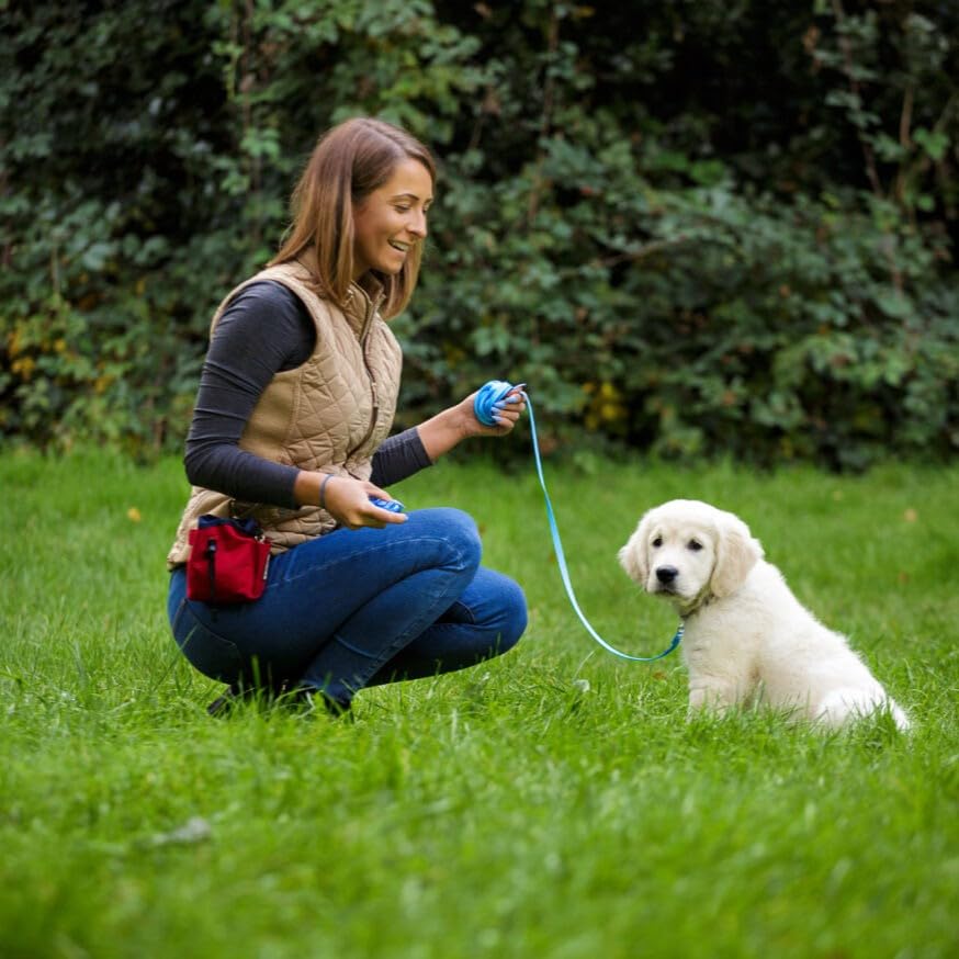 Company of Animals Treat Bag, Red, Zipped Pockets & Drawstring, Clips on Belt, Waistband or Pocket, Waterproof Treats Pouch, Ideal for Dog Walking & Puppy Training - color: Red