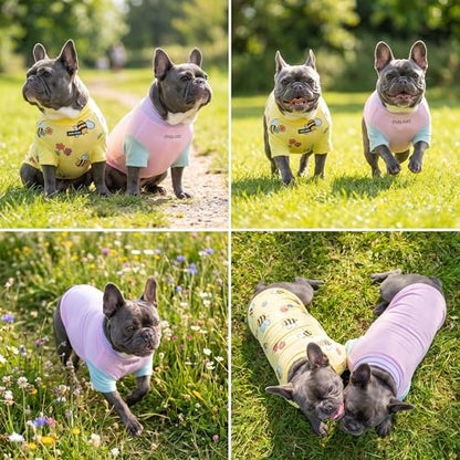 Spark Paws Sunblock Dog T-Shirt, SPF30 Protection, Lightweight Breathable Quick Dry for Dogs with Sensitive Skin - Bees & Gelato (Set of 2) - Size L - color: Bees & Gelato, size: L: 15-25lbs