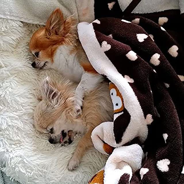SmartPetLove Original Snuggle Puppy Essentials Starter Kit - Heartbeat Puppy for Dogs - Calming Aid with 3 Heat Packs, Puppy Teething Toy, Dog Chew Toy and Dog Blanket - color: Neutral