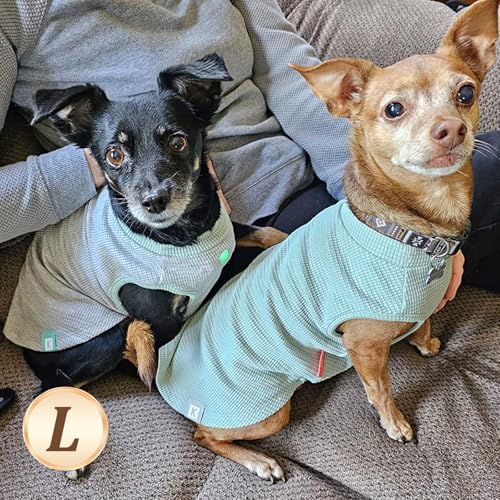 KYEESE 2Pack Dog Shirts Waffle for Small Dogs Stretchy Pet T-Shirts Lightweight Dog Tank Top Sleeveless Dogs Vest Breathable, Large, Green+Grey - color: 06# 2Pack(Green+Grey), size: Large (12-18lbs)