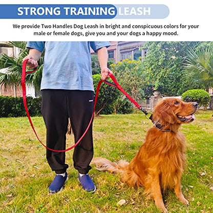Strong Heavy Duty Dog Leash - 5ft Reflective Nylon Training Leash with Soft Padded Double Handle & Auto Lock Frog Clip - Safety Traffic Control for Large Medium Small Dogs No Pull Walk Red,5ft - color: Red, size: 5FT x 1" x 2.8MM
