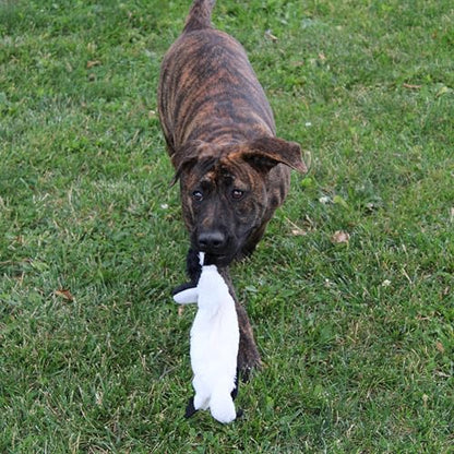 SPOT Skinneeez Stuffing Free Arctic Animal Dog Toy - with Squeaker in Head and Tail, Stuffingless Design is Great for Moderate Chewers, Tug Toy for Small Puppies & Dogs - 15in, Assorted Styles, 1 Toy - size: Small/15 Inch