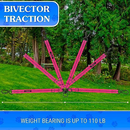 Dog Leash – Dual Reflective with Non-Tangle Design – Heavy Duty Nylon and Metal Buckles – Ideal (Pink, 2 Dog Leash) - color: Pink