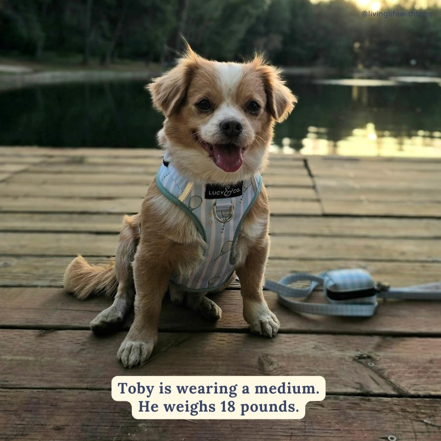 Lucy & Co. The Match Point No-Pull Dog Harness - Size X-Large- Vest to Stop Pulling & Walk Easy - Comfortable Leash Training Product w/Adjustable Chest & Neck Straps - color: The Match Point No-Pull Harness, size: X-Large