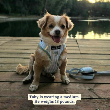 Lucy & Co. The Match Point No-Pull Dog Harness - Size X-Large- Vest to Stop Pulling & Walk Easy - Comfortable Leash Training Product w/Adjustable Chest & Neck Straps - color: The Match Point No-Pull Harness, size: X-Large