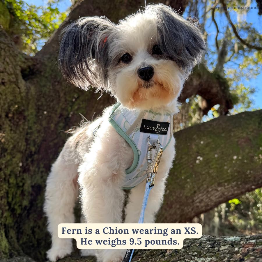 Lucy & Co. The Match Point No-Pull Dog Harness - Size X-Large- Vest to Stop Pulling & Walk Easy - Comfortable Leash Training Product w/Adjustable Chest & Neck Straps - color: The Match Point No-Pull Harness, size: X-Large