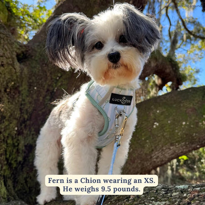 Lucy & Co. The Match Point No-Pull Dog Harness - Size X-Large- Vest to Stop Pulling & Walk Easy - Comfortable Leash Training Product w/Adjustable Chest & Neck Straps - color: The Match Point No-Pull Harness, size: X-Large
