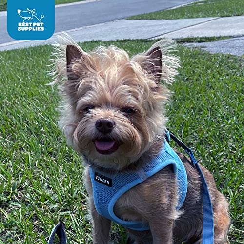 Best Pet Supplies Voyager Step-in Air Harness - All Weather Mesh, Reflective, No Pull Harness for Dogs, Cats - Secure with Hook & Loop Fastener, Buckle, Double D-Rings - Baby Blue, L - color: Harness (Baby Blue), size: L (Chest: 18 - 20.5")