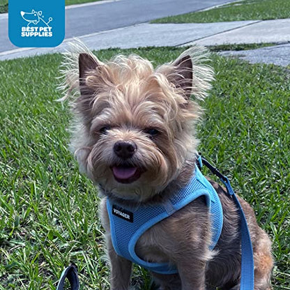 Best Pet Supplies Voyager Step-in Air Harness - All Weather Mesh, Reflective, No Pull Harness for Dogs, Cats - Secure with Hook & Loop Fastener, Buckle, Double D-Rings - Baby Blue, L - color: Harness (Baby Blue), size: L (Chest: 18 - 20.5")