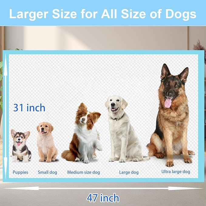 XXXXL Puppy Pee Pads 31"x47" 100 Count, Extra Large for Dogs, Leak-Proof & Super Absorbent, Thicken Disposable Potty Training Pads for Cats Rabbits - size: 31"x47" 100 Count