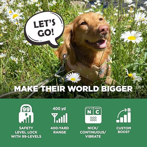 Dogtra CUE Gen 2 Tan – Customizable E-Collar for Dogs Training Collar with Remote – Easy, Safe, Beginner-Friendly Design – 99 Levels, Vibration, Boost, Waterproof, Rechargeable, 400-Yard Range - color: Gen 2 Tan