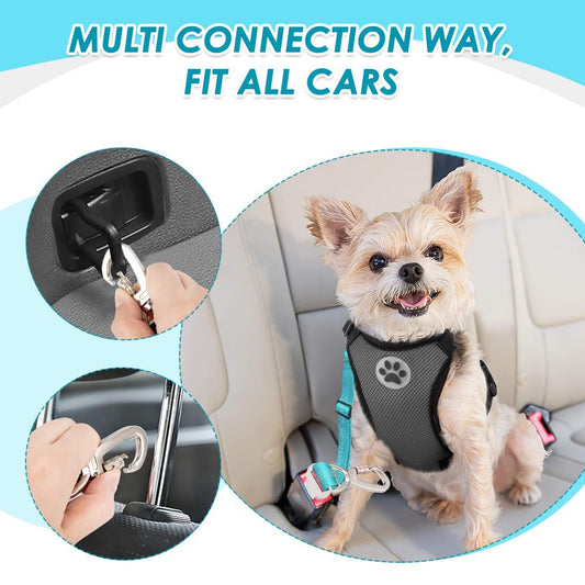 SlowTon Dog Seatbelt, 2 Pack Dog Seat Belt Car Leash Adjustable Elastic Bungee Buffer Heavy Duty Nylon Reflective Pet Safety Tether Connect to Dog Harness for Travel Riding in Vehicle (Daul Clip, TB) - color: Light Blue