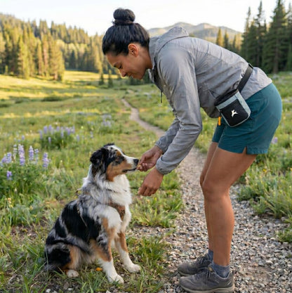 OllyDog, Goodie Treat Bag, Dog Treat Training Pouch | Magnetic Closure | 3 Ways to Wear | Hands-Free Waist Belt | Water-Resistant Recycled Vegan Fabric (St. Lucia) - color: St. Lucia