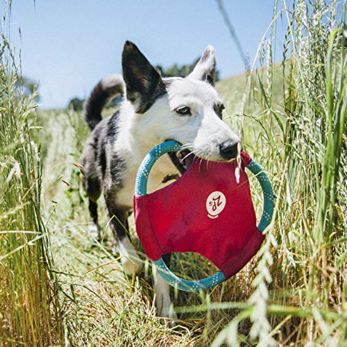 ZippyPaws Rope Gliderz - Durable Outdoor Dog Frisbee Toy, Soft Pet Flying Disc for Beach & Pool, Interactive Frisbee for Fetching, Made of Tough Mountain Climbing Rope - Magenta