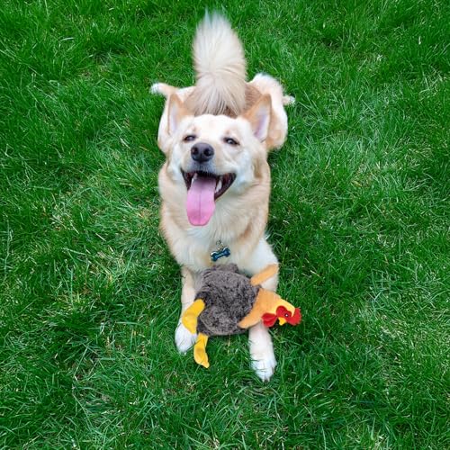 Squeaky Stuffed Dog Toys – Plush Chicken Chew Toy for Small, Medium & Large Dogs, Cute & Funny Interactive Puppy Toy with Crinkle Paper & Double Squeakers - style: Chicken