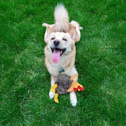 Squeaky Stuffed Dog Toys – Plush Chicken Chew Toy for Small, Medium & Large Dogs, Cute & Funny Interactive Puppy Toy with Crinkle Paper & Double Squeakers - style: Chicken