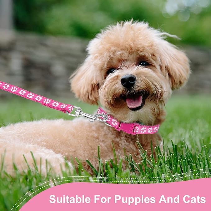 Blue XXS Dog Collar with Bell, Puppy Collar and Leash Set Pawprint Extra Small Dog Collar with Bell Adjustable Kitten Collar with Bells for Tiny Little XXS XS Small Breed Pets Dogs Girls Boys - color: Blue