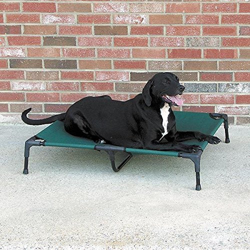 Guardian Gear Raised Elevated Dog Bed Dark Green Tough Canvas Comfortable Pet Cot Choose Size(Small - Up to 100 lbs)