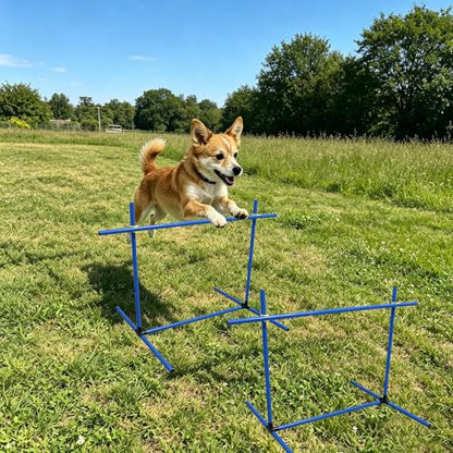 2.6 FT Dog Agility Jumps Adjustable Dog Jump Hurdles & Weave Poles | Dog Agility Jumping Hurdles Complete Obstacle Course Gear for Indoor/Outdoor Use & Daily Agility Training
