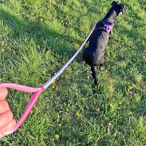 2/3/4/6/10 ft Reflective Dog Leash Strong Nylon Rope Braided Heavy Duty for Large Medium Small Dogs Walking Training Leads (Pink, 6ft * 1/2") - color: Pink, size: 6ft * 1/2"