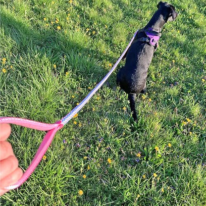 2/3/4/6/10 ft Reflective Dog Leash Strong Nylon Rope Braided Heavy Duty for Large Medium Small Dogs Walking Training Leads (Pink, 6ft * 1/2") - color: Pink, size: 6ft * 1/2"