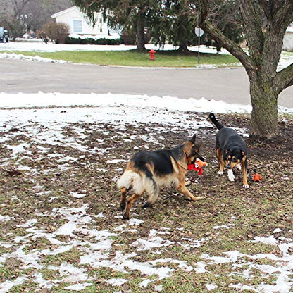 Jalousie Multipack Dog Squeaky Toys Strong Almost Indestructible, with Added Liner for Longer Play Dog Chew Toys (5 Pack Tough) - color: 5 Pack Tough