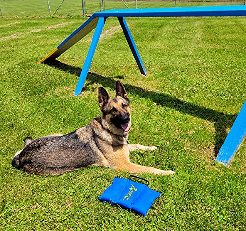 ActiveDogs Agility Saddlebag Sand Bag w/Weights 13# - Non-Constricting Saddlebags for Stabilizing Dog Agility Tunnel Equipment Indoor or Outdoor