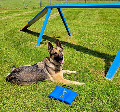ActiveDogs Agility Saddlebag Sand Bag w/Weights 13# - Non-Constricting Saddlebags for Stabilizing Dog Agility Tunnel Equipment Indoor or Outdoor