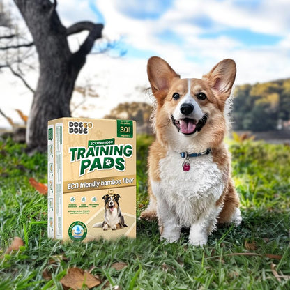 Puppy Pads 30 Count Small 22x22in Bamboo Training Pads Deodorizing Leakproof Quick Drying Dog Pee Pads Super Absorbent Disposable Pee Pads for Dogs Puppies, Doggie, Cats, Rabbits - size: 22*22(30 Count)