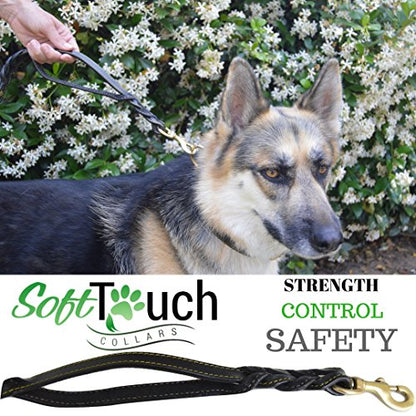 6 Foot Braided Leather Dog Leash with Traffic Handle, Two Handles for Training and Safety, Double your Control with 2 Locations, Lead for Large and Medium Dogs,Black 6ft x 3/4 Inch - color: Black