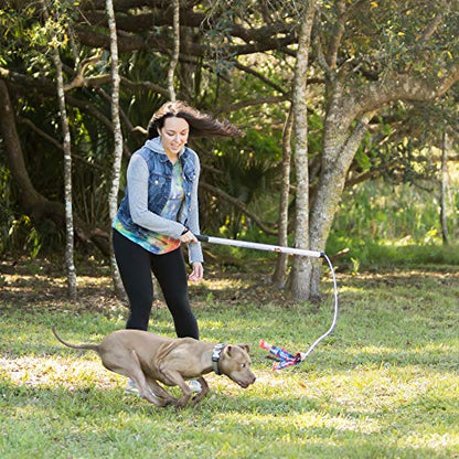Squishy Face Studio Flirt Pole V2 with Lure - Durable Dog Toy for Fun Obedience Training & Exercise, Rainbow Tie Dye, Regular - 36 inch - color: Rainbow Tie Dye, size: Regular (36 in), style: No Squeaker