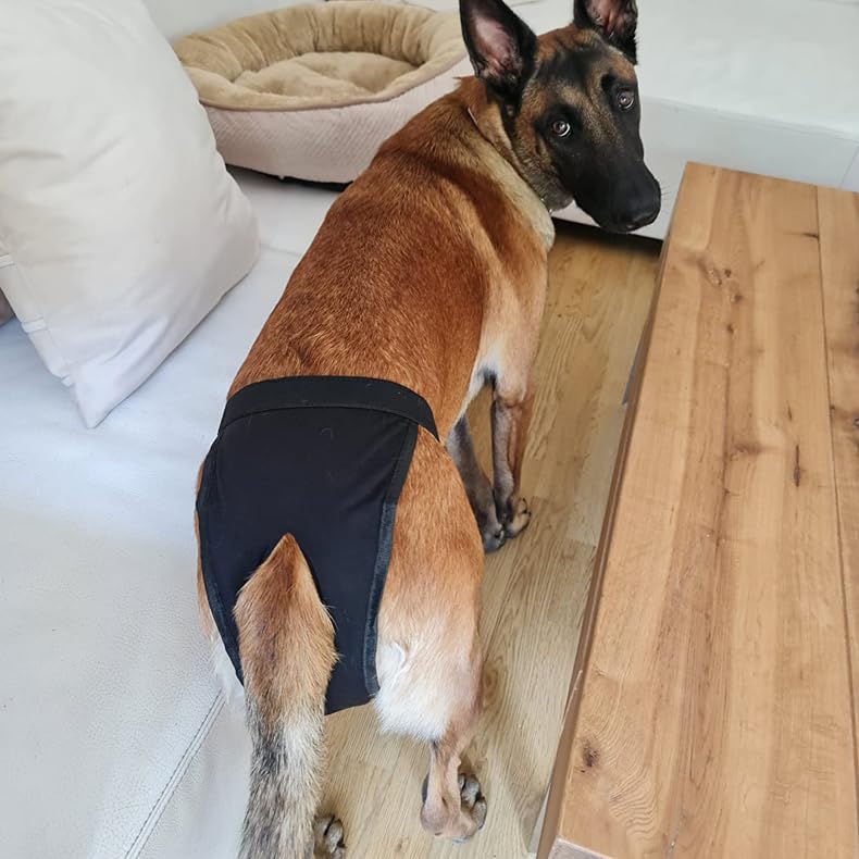 XXL Dog Diapers Female Dog Pant,Breathable Mesh Washable Extra Large Dog Diapers Female Beige+Gray XXL - color: Beige+Gray, size: XX-Large