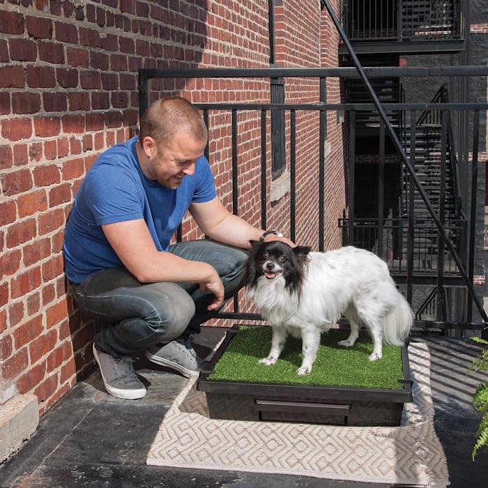 Indoor Yard Training System for Dogs, Small