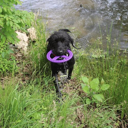 Flexible Flying Disc - Durable Floating Dog Toy for Fetch, Tug, Treat Filling, Made in USA, FDA Compliant TPE, Medium/Large Dogs, Blue - color: Blue