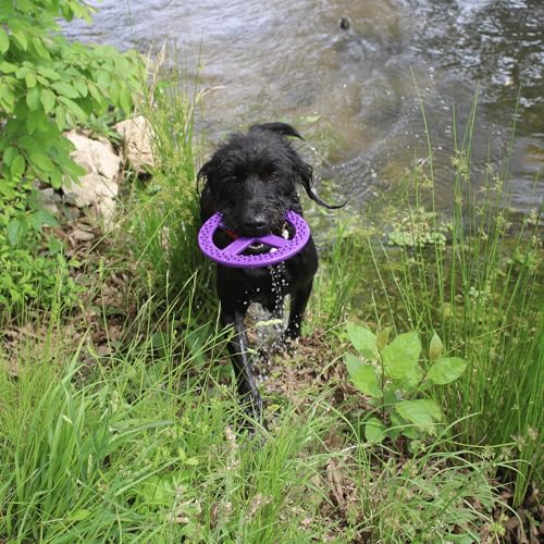Flexible Flying Disc - Durable Floating Dog Toy for Fetch, Tug, Treat Filling, Made in USA, FDA Compliant TPE, Medium/Large Dogs, Green - color: Green